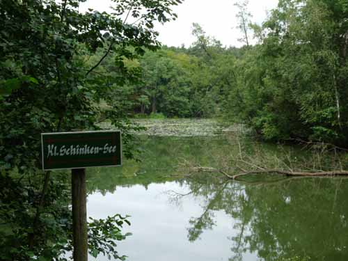 1208_Brandenburg_Berlin_405