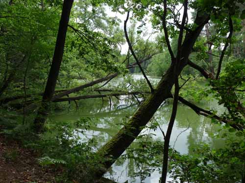 1208_Brandenburg_Berlin_407