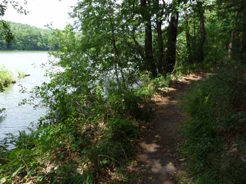 1208_Brandenburg_Berlin_410