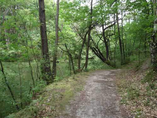 1208_Brandenburg_Berlin_411