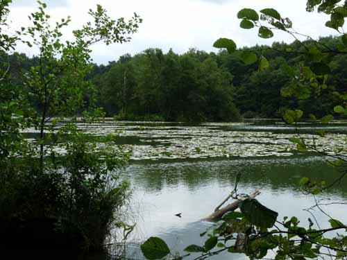 1208_Brandenburg_Berlin_414