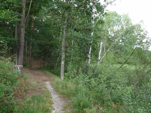 1208_Brandenburg_Berlin_415