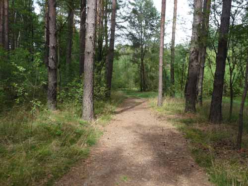 1208_Brandenburg_Berlin_416