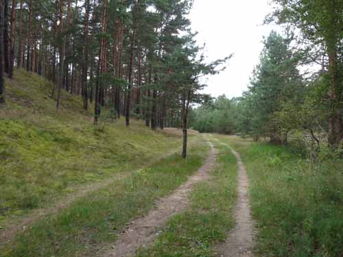 1208_Brandenburg_Berlin_417