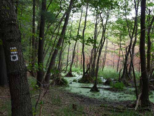 1208_Brandenburg_Berlin_421