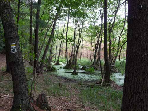 1208_Brandenburg_Berlin_422