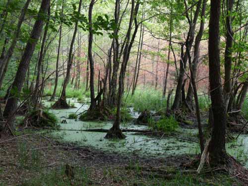 1208_Brandenburg_Berlin_423