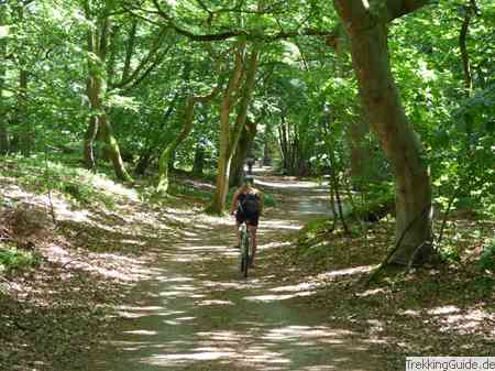 Radfahren Darss