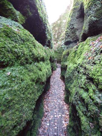 Drachenschlucht bei Eisenach