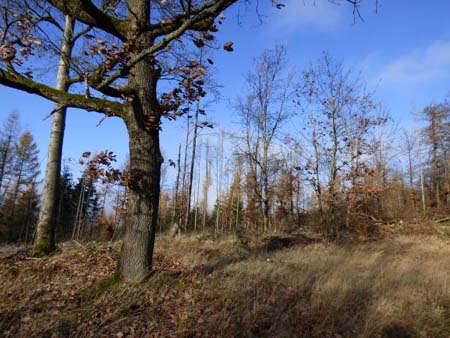 Drachenschlucht an der Wartburg
