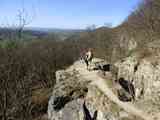 200411_Ohm_Burg_Bodenstein_Runde_093