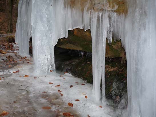 Elbsandsteingebirge-003