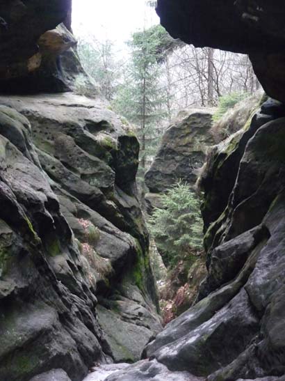 Elbsandsteingebirge-013