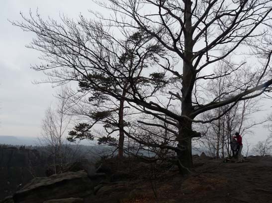 Elbsandsteingebirge-028