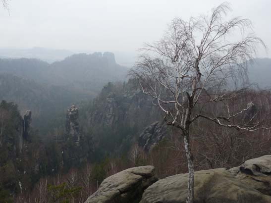 Elbsandsteingebirge-036