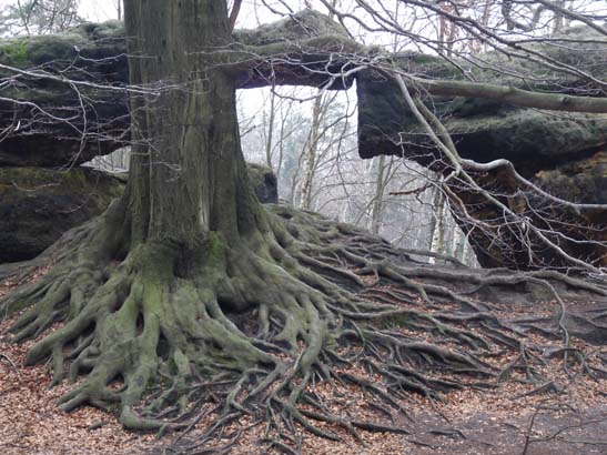 Elbsandsteingebirge-043