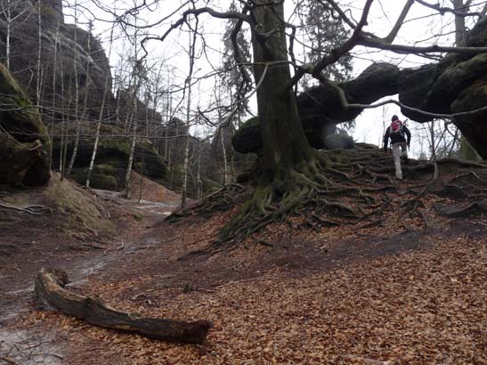 Elbsandsteingebirge-045