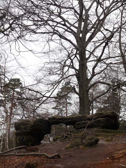 Elbsandsteingebirge-047