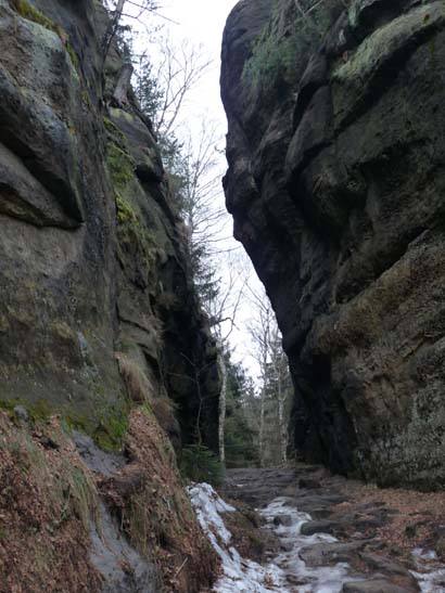 Elbsandsteingebirge-056