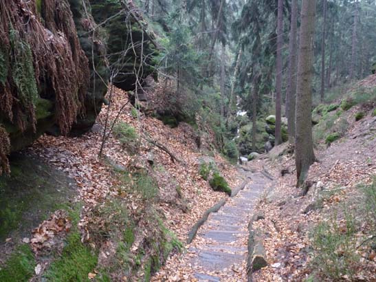 Elbsandsteingebirge-112