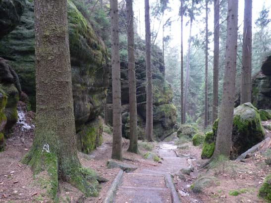 Elbsandsteingebirge-113