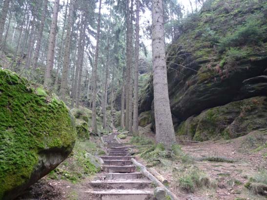 Elbsandsteingebirge-114