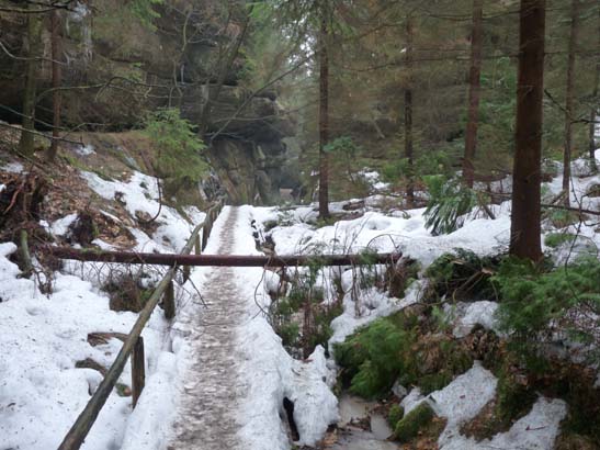 Elbsandsteingebirge-115