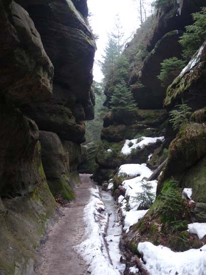 Elbsandsteingebirge-121