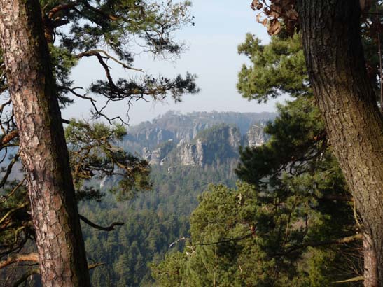 Elbsandsteingebirge-149