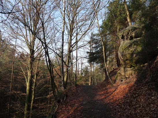 Elbsandsteingebirge-154