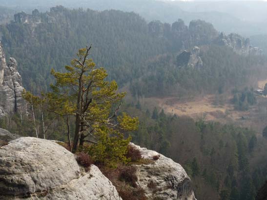 Elbsandsteingebirge-196