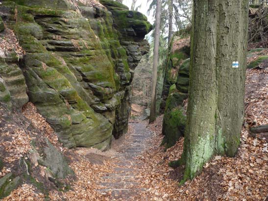 Elbsandsteingebirge-222