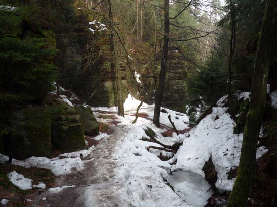 Elbsandsteingebirge-225