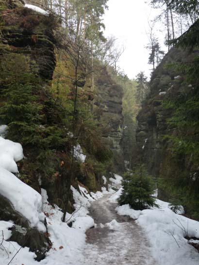 Elbsandsteingebirge-229