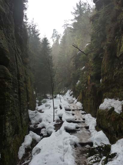 Elbsandsteingebirge-231