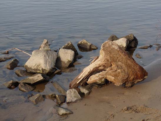 Elbsandsteingebirge-266-Dresden