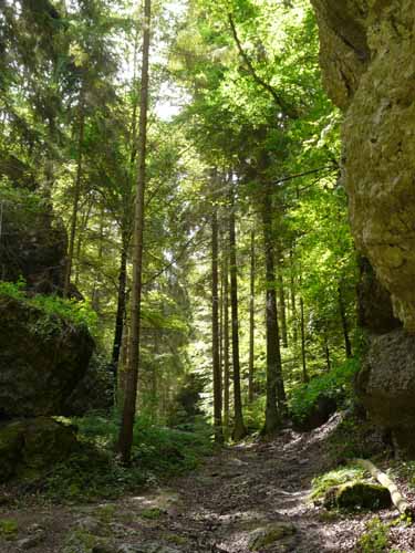 Fraenkische_Schweiz_Mai_2009_002