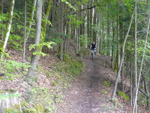 Fraenkische_Schweiz_Mai_2009_005