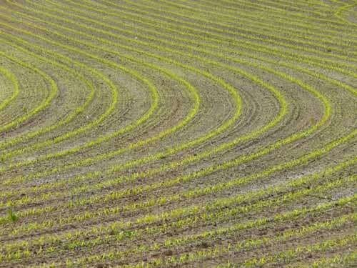 Fraenkische_Schweiz_Mai_2009_018