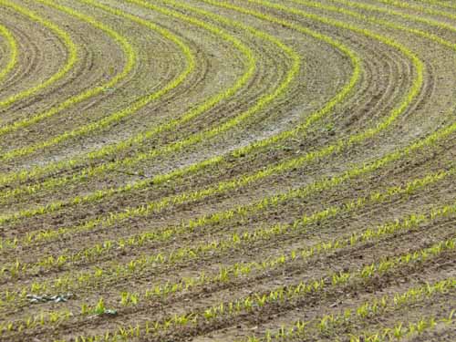 Fraenkische_Schweiz_Mai_2009_019