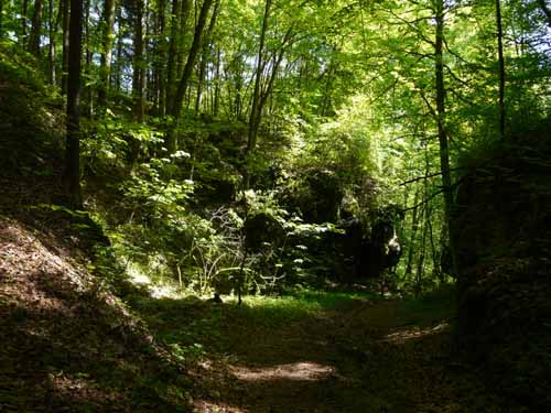 Fraenkische_Schweiz_Mai_2009_025