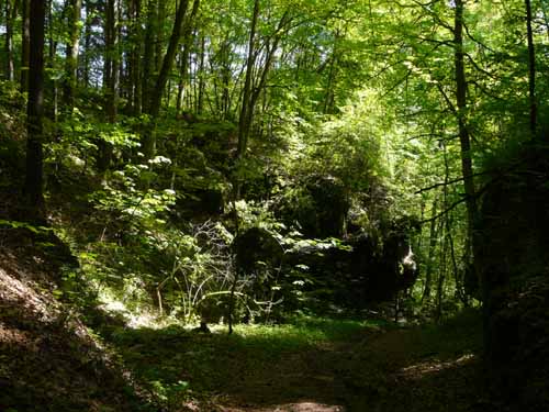 Fraenkische_Schweiz_Mai_2009_026