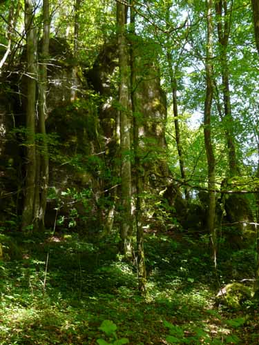 Fraenkische_Schweiz_Mai_2009_028