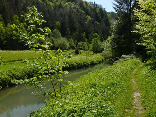 Fraenkische_Schweiz_Mai_2009_029