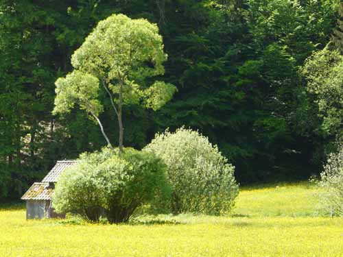Fraenkische_Schweiz_Mai_2009_042
