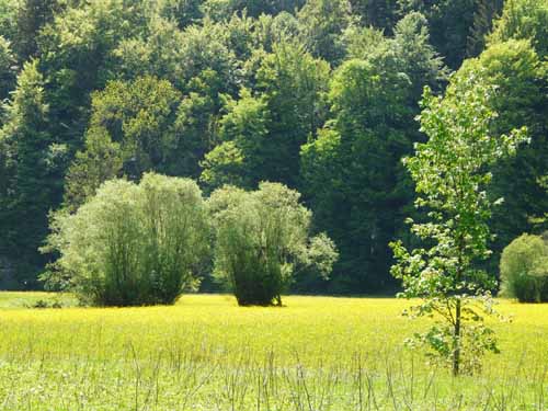 Fraenkische_Schweiz_Mai_2009_043