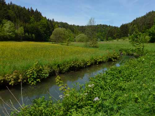 Fraenkische_Schweiz_Mai_2009_045