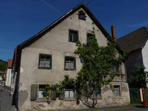 Fraenkische_Schweiz_Mai_2009_060