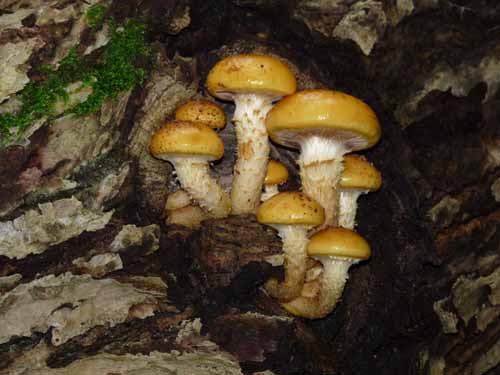 121003_Kupferhuette_33