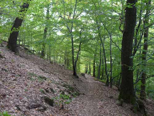 121003_Kupferhuette_73